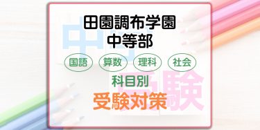 田園調布学園中等部の科目別受験対策。国語・算数・理科・社会の出題傾向と勉強法