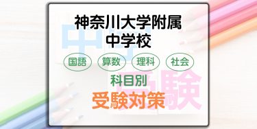 神奈川大学附属中学校の科目別受験対策。国語・算数・理科・社会の出題傾向と勉強法